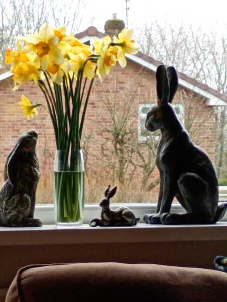 February faffing, wig mischieving, pancake stuffing, bargain gymnastics and looking forward to Spring Shenanigans ❤️