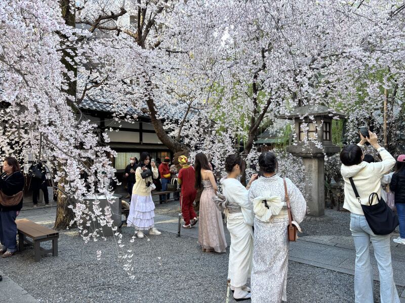 Les Parisiennes de Mamansnet: Emergency thread!!