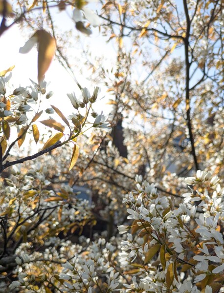 Year round Nigel Slater discussion thread - Part 3