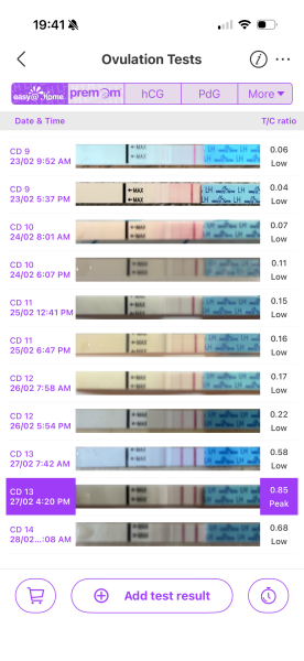 TWW feels like forever