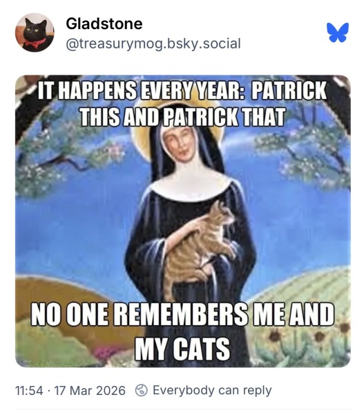 Carry On Catting - the Excellent Cats do what they do best