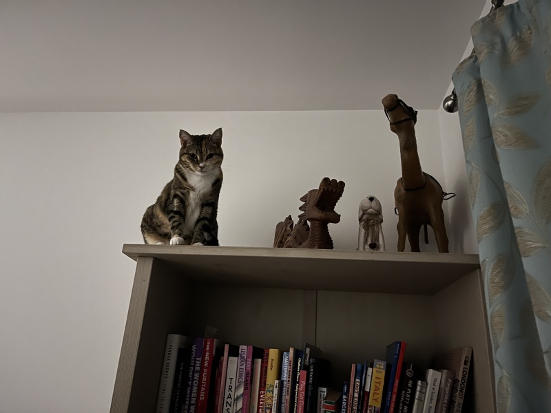 The Bluestocking  women's Pub- spring is sprunging and MN's name generator can do one!