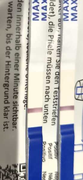 Implantation Cramps?