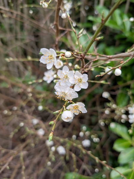 Thread 45 Starmer: Una nación que olvida su pasado no tiene futuro.