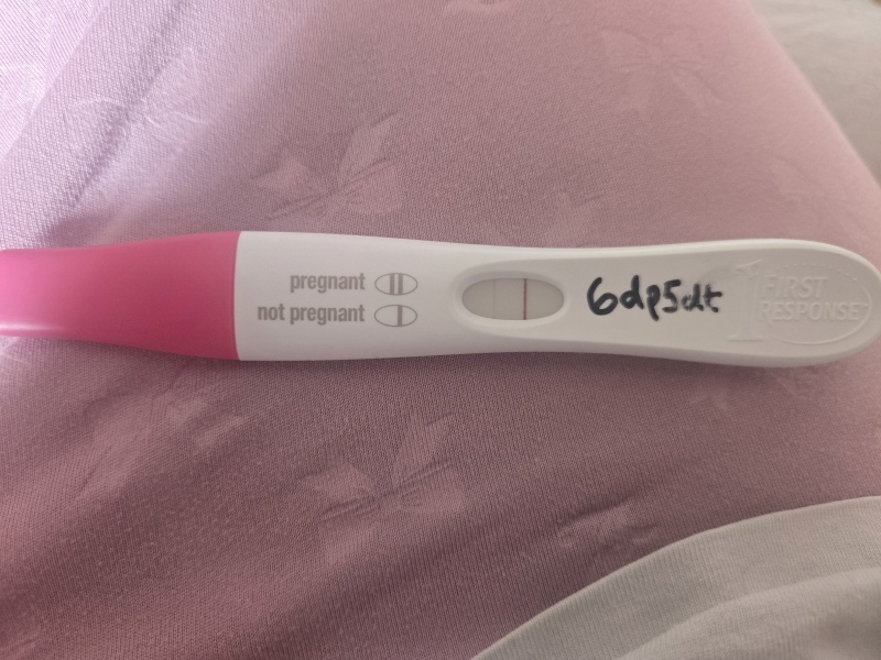 IVF march 2026