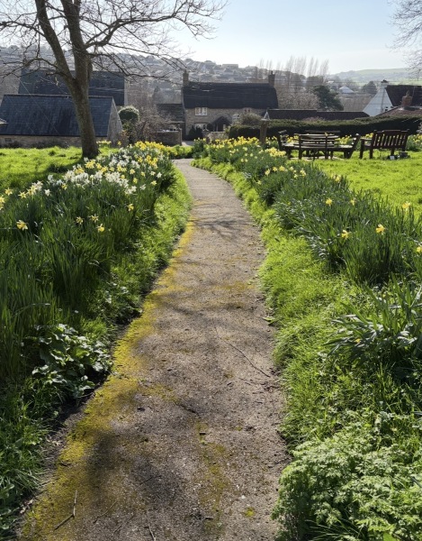 Year round Nigel Slater discussion thread - Part 3