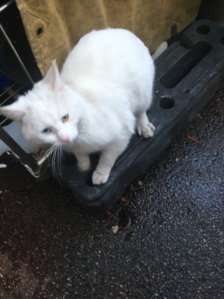 Thread 45 Starmer: Una nación que olvida su pasado no tiene futuro.