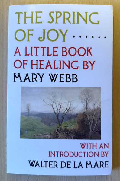 My year with Stella...