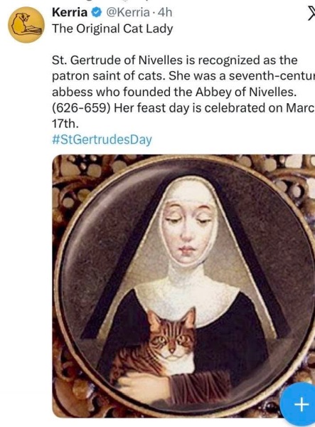 Carry On Catting - the Excellent Cats do what they do best