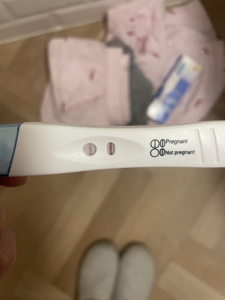 🎇 Due November 26 🎆