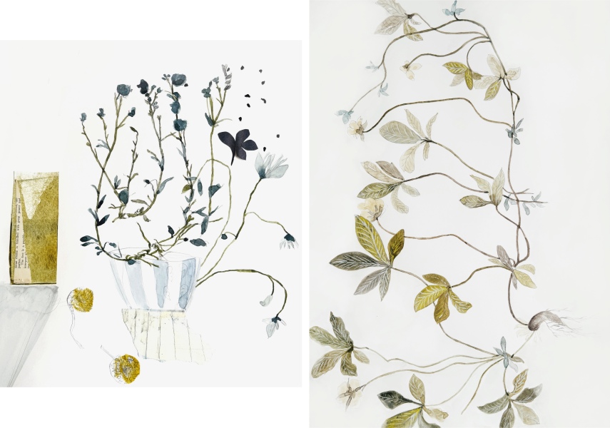 In which area (visual art) do I have more skill?