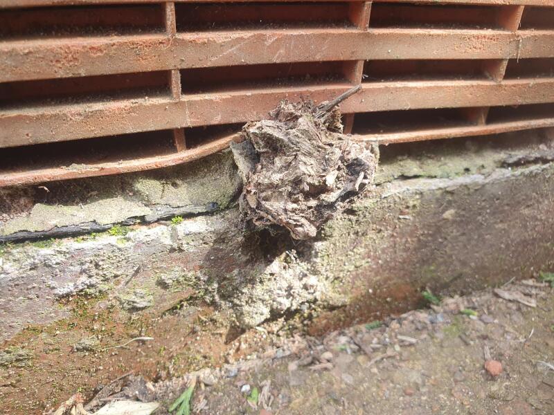Advice on damp smell and possible water under our 1930s semi