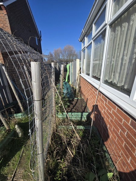 What have you done in the garden today? Part 8