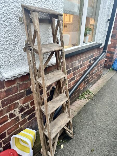 Can you help me plant some climbers ?!