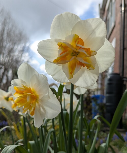 Year round Nigel Slater discussion thread - Part 3