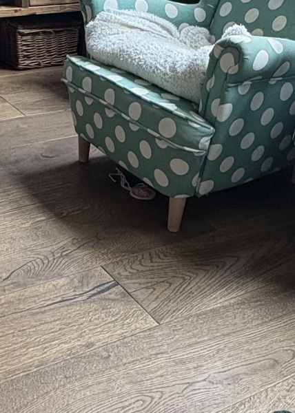 Woolly Hugs. A blanket for lovely wafflenose who has tragically lost her daughter. Can you help us please?