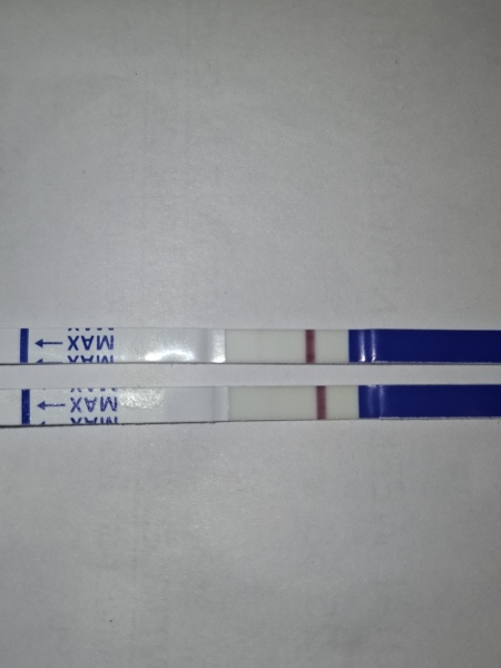 Pregnant after 5 losses