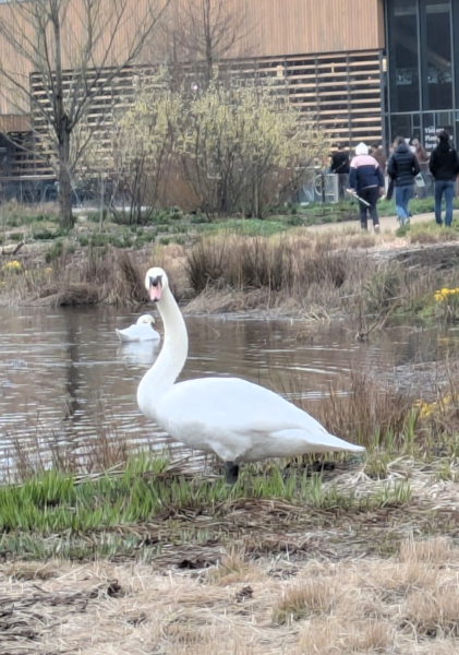 The Bluestocking  women's Pub- spring is sprunging and MN's name generator can do one!