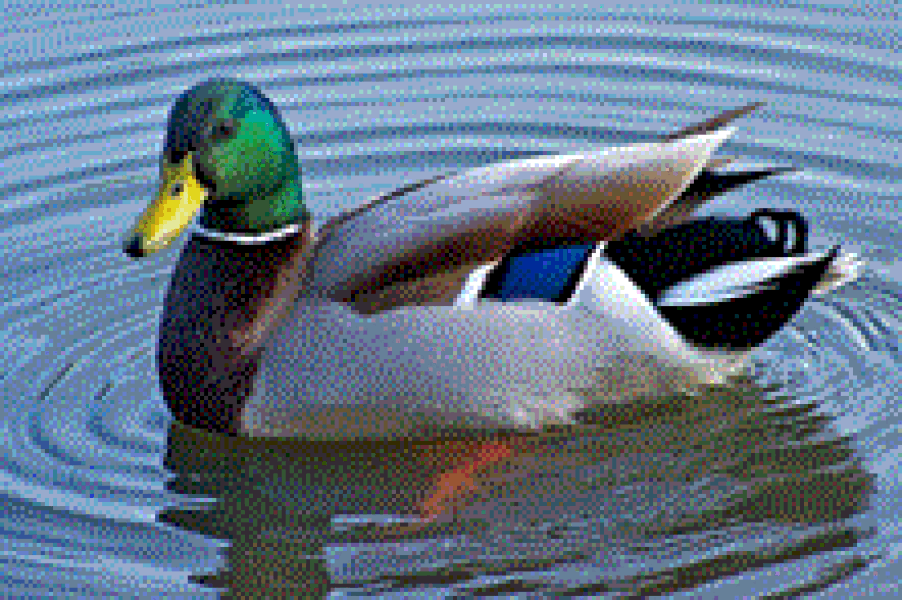 Can’t stop thinking about pics partner sent to “ex”