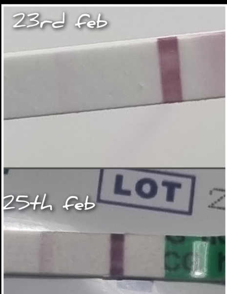 Test 4 days before period