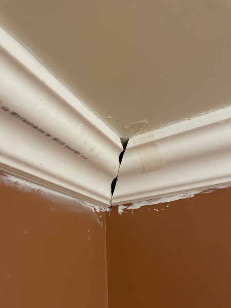 Coving - cowboy decorators what do I do?!