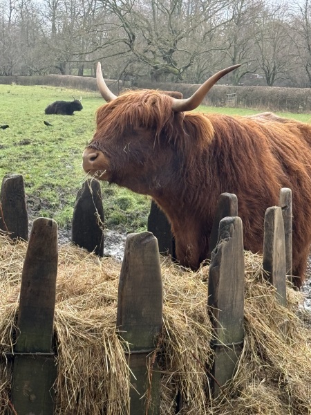 Year round Nigel Slater discussion thread - Part 3