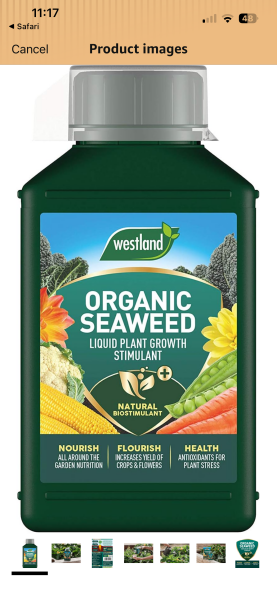 What have you done in the garden today? Part 8