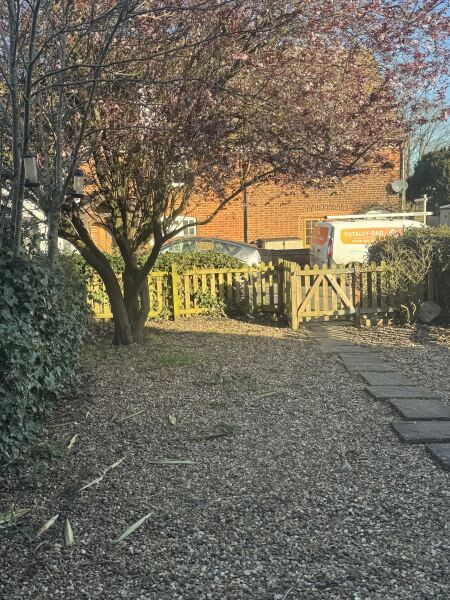 Husband wanting to take a hedge down in April - tried telling him this could get him into trouble