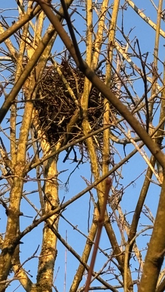 Come and tell us your dull and unexciting news 35: Calmly through the day