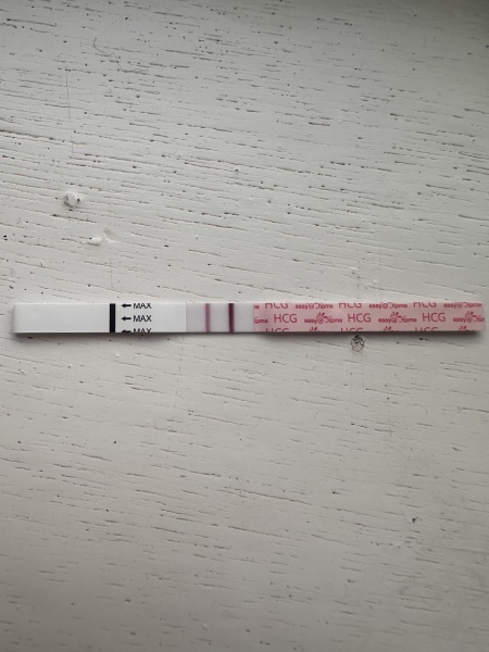 🎇 Due November 26 🎆