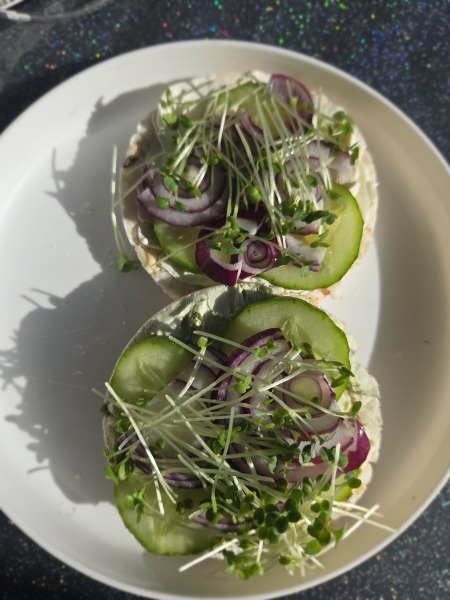 What have you eaten, or what will you eat today?