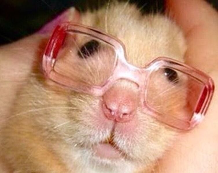 The Bluestocking  women's Pub- spring is sprunging and MN's name generator can do one!