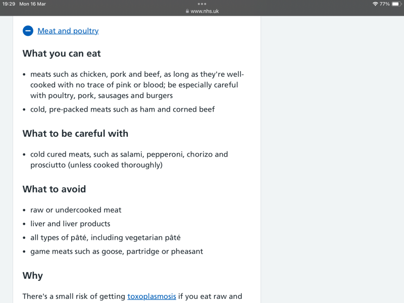 Pregnancy food rules: is Aldi soft scoop, KFC or Mr Whippy safe?