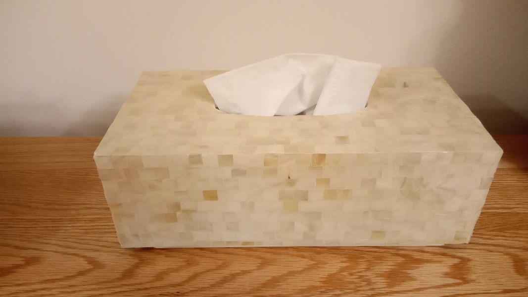 Do you have a nice tissue box cover?