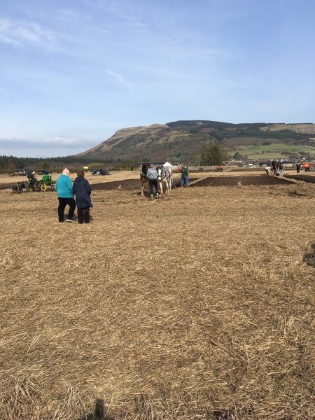 The Bluestocking  women's Pub- spring is sprunging and MN's name generator can do one!