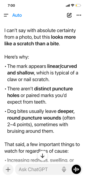 Dog bite or scratch?
