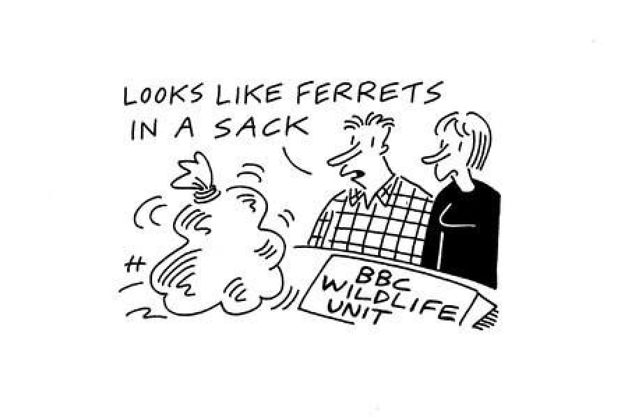 Labour isn't working - Thread 29