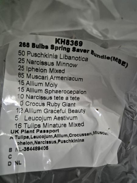 Tulip bulbs - plant BEFORE or AFTER the first frost?