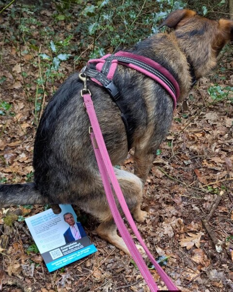 Thread 46 Starmer: Meloj kaj kastoroj sur monbiletoj, arbaro de kolero