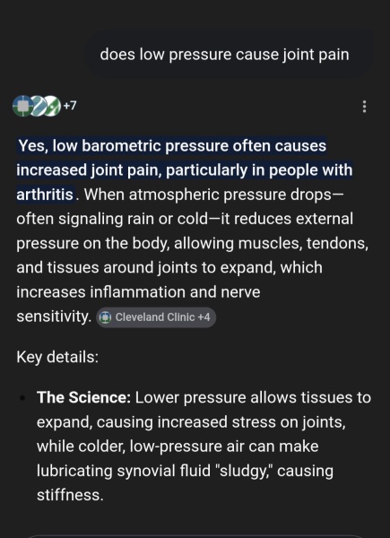 Year round Nigel Slater discussion thread - Part 3