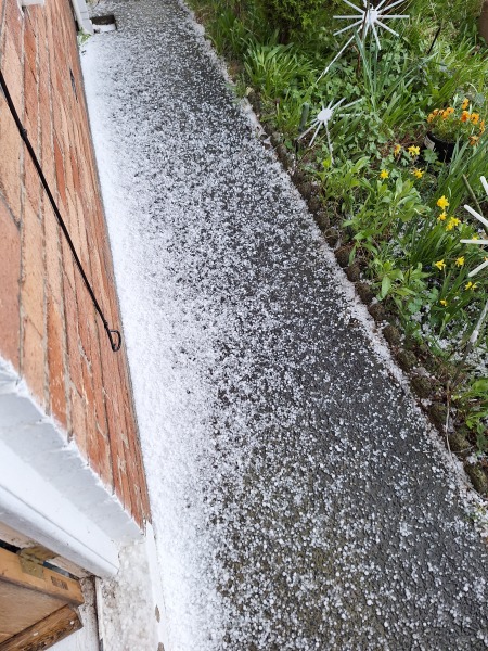 Year round Nigel Slater discussion thread - Part 3