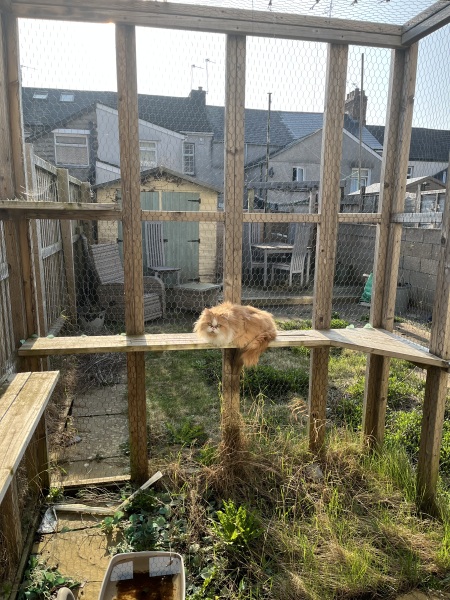 Thread 45 Starmer: Una nación que olvida su pasado no tiene futuro.