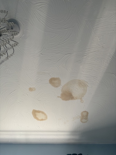 Any plumbers on here or if your dh/dp plumber can you look at this photo ? I can’t tell if we have a leak or if one of the kids made the shower over flow