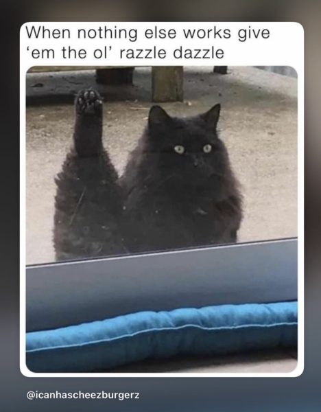 Thread 46 Starmer: Meloj kaj kastoroj sur monbiletoj, arbaro de kolero