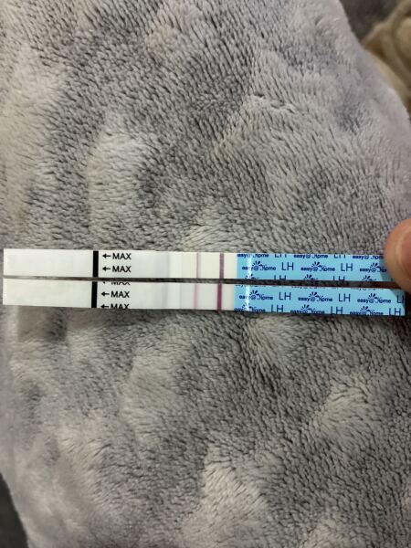 TTC March/April 2026