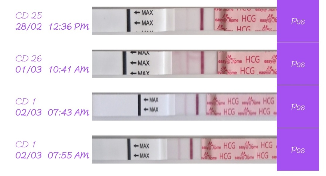 Line progression? 13dpo