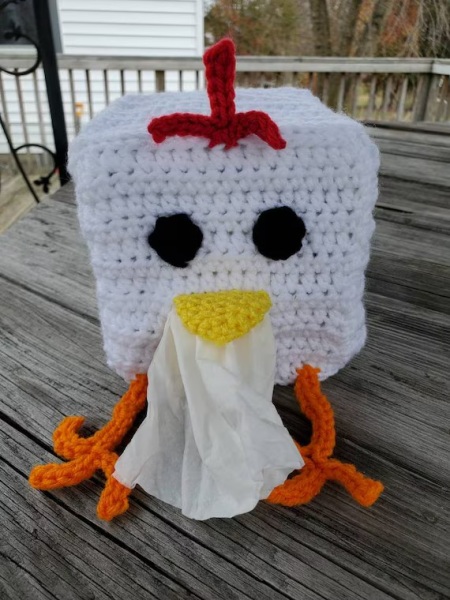 Do you have a nice tissue box cover?