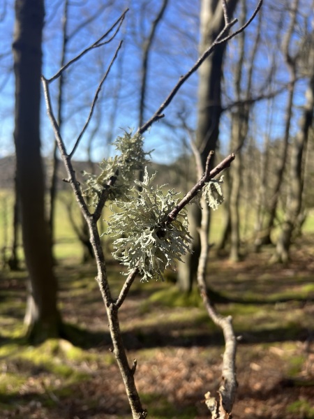 Middle class gifts for middle class children