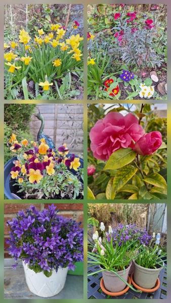 Year round Nigel Slater discussion thread - Part 3