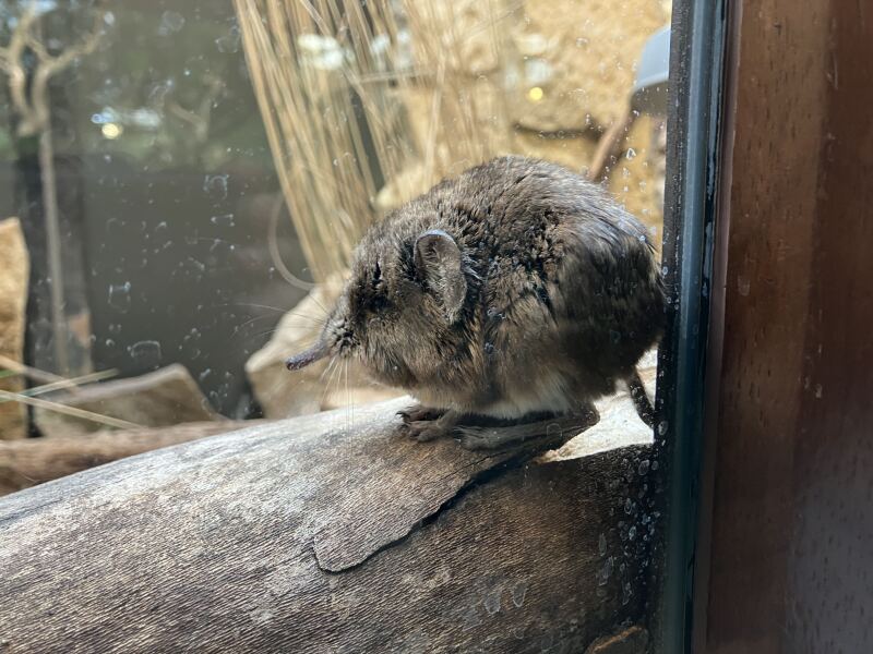 The Bluestocking Inn, cocktails and cocoa and all